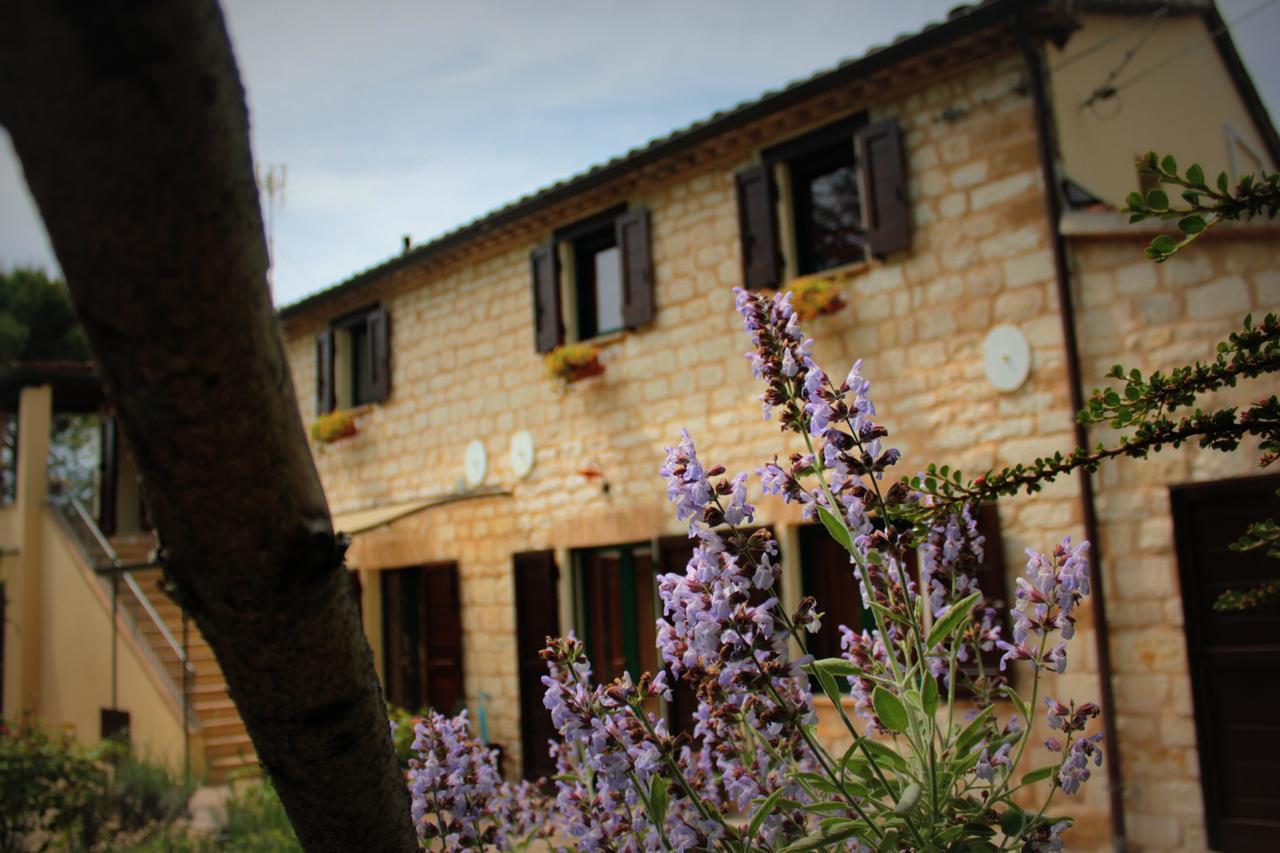 Campo Del Mare Bed and Breakfast Sirolo Buitenkant foto