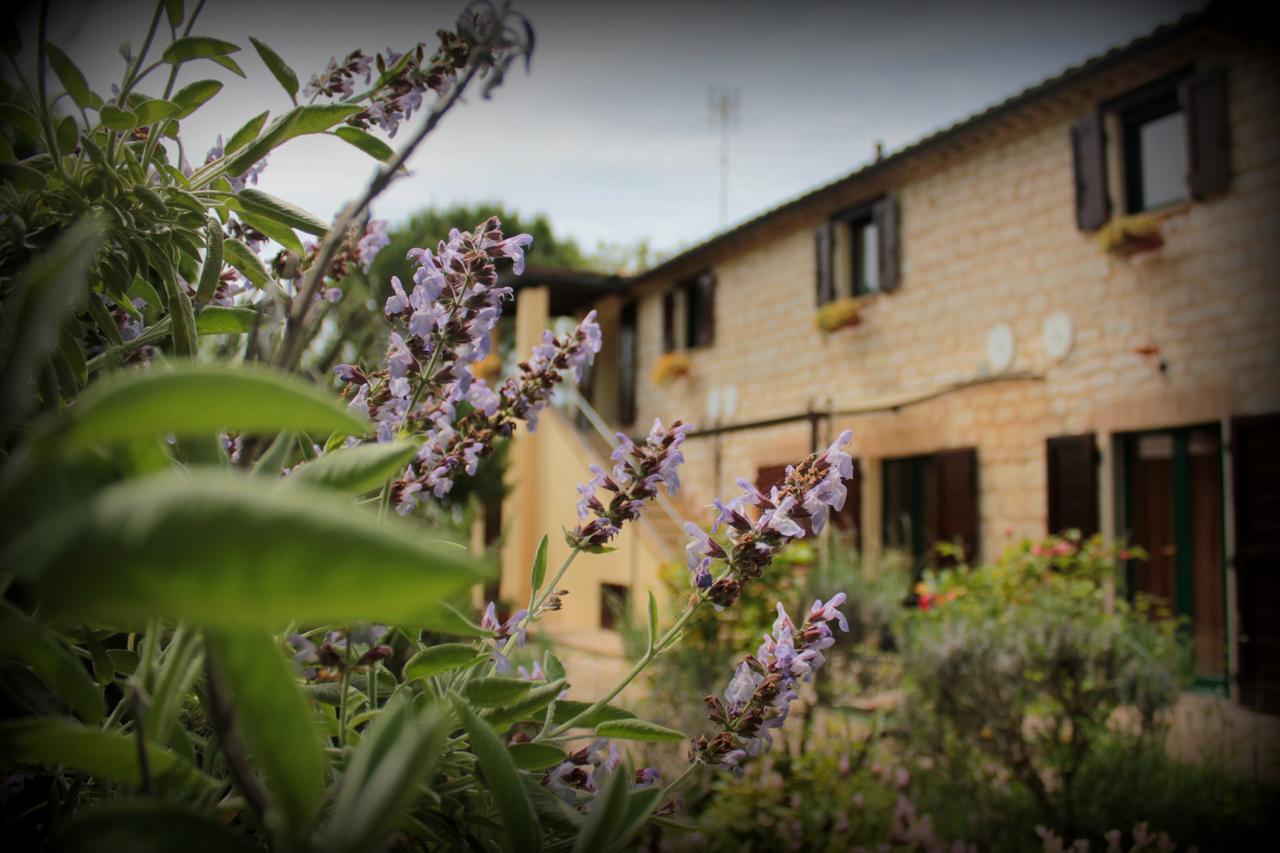 Campo Del Mare Bed and Breakfast Sirolo Buitenkant foto